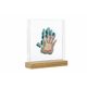Baby Art Family Prints Wooden