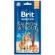 Brit Premium by Nature Cat Sticks with Salmon & Trout (3 sticks)