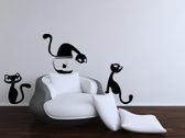 Samolepky na zeď - Kočky