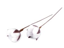 Umělý květ bavlníku 2 kusy