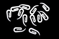 Záclonový háček šnekový 100 ks