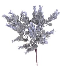 Trs eukalyptus zaprášený - šedá