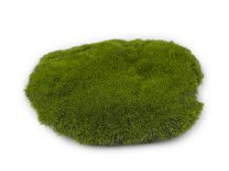 Mechový polštářek k dekorování