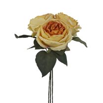 Kytice umělých sušených růží X7631-03 - 32 × 15 × 11 cm