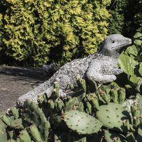 Dekorace ještěr X3226 - 52 x 25 x 17 cm