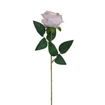 Růže světle fialová X5791-10 - dia 7 x 4,5 / 50 cm