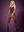 Body F223 bodystocking