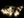 LED světelný řetěz vločky, hvězdy, stromečky na baterie (1 transparent hvězda)