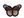 Nažehlovačka motýl (11 hnědá sv.)