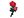 Nažehlovačka na rifle růže (2 červená)
