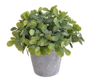 Umělá pokojová rostlina v květináči 18 cm