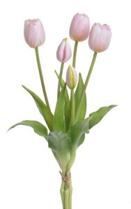 Kytice tulipánů 5 ks - růžová