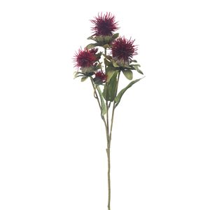 Okrasný bodlák X6856-09 - 57 cm