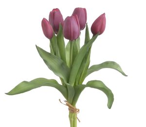 Svazek tulipánů 5 ks - tmavě růžová