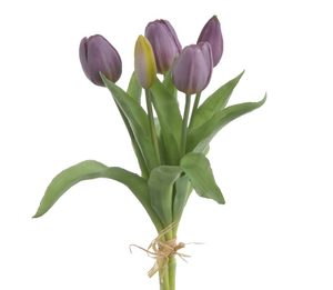 Svazek tulipánů 5 ks - tmavě fialová