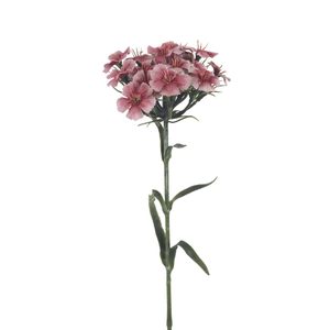 Hvozdík 55 cm X6858-05