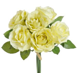 Růže 7 cm (6 ks) - žlutá s nádechem do zelena 25 cm