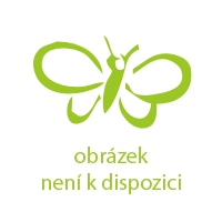 Anežka Kotrlá