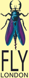 Fly London