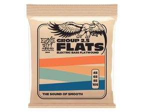 2805 Ernie Ball Flatwound Group 2.5 Electric Bass Strings - 45-105 Gauge - " hlazené " struny na basovou kytaru - 1ks