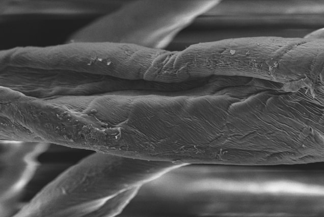 Nanosilver materiál pod mikroskopem!