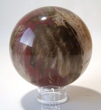 Zkamenělé dřevo - koule (7 cm)