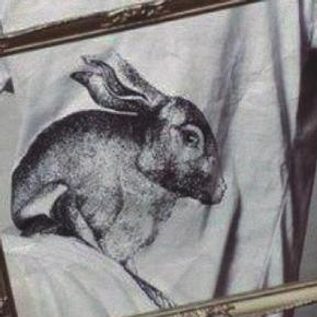 WTF market ~ móda, design, šperk