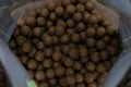 Nikl Boilies Economic Feed Rape Cloud 5kg