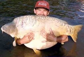Rekordní úlovky kaprů 30 plus: Rumunské jezero Sarulesti (Raduta)