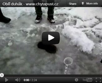 Obří duhák VIDEO - Chladič