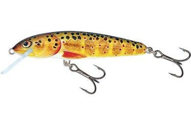 Salmo Wobler Minnow Floating 6cm