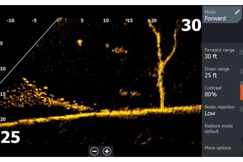 Lowrance Sonda ActiveTarget 2