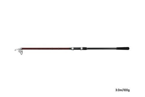 Delphin Prut Thunder GenerationX 300cm 100g