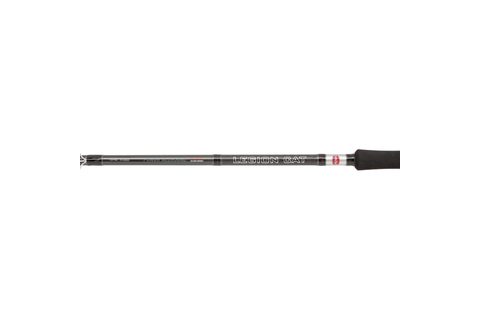 Penn Prut Legion Cat Silver Power Allround 3m 200-400g