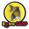 Extra Carp