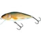 Salmo Wobler Perch Floating 12cm