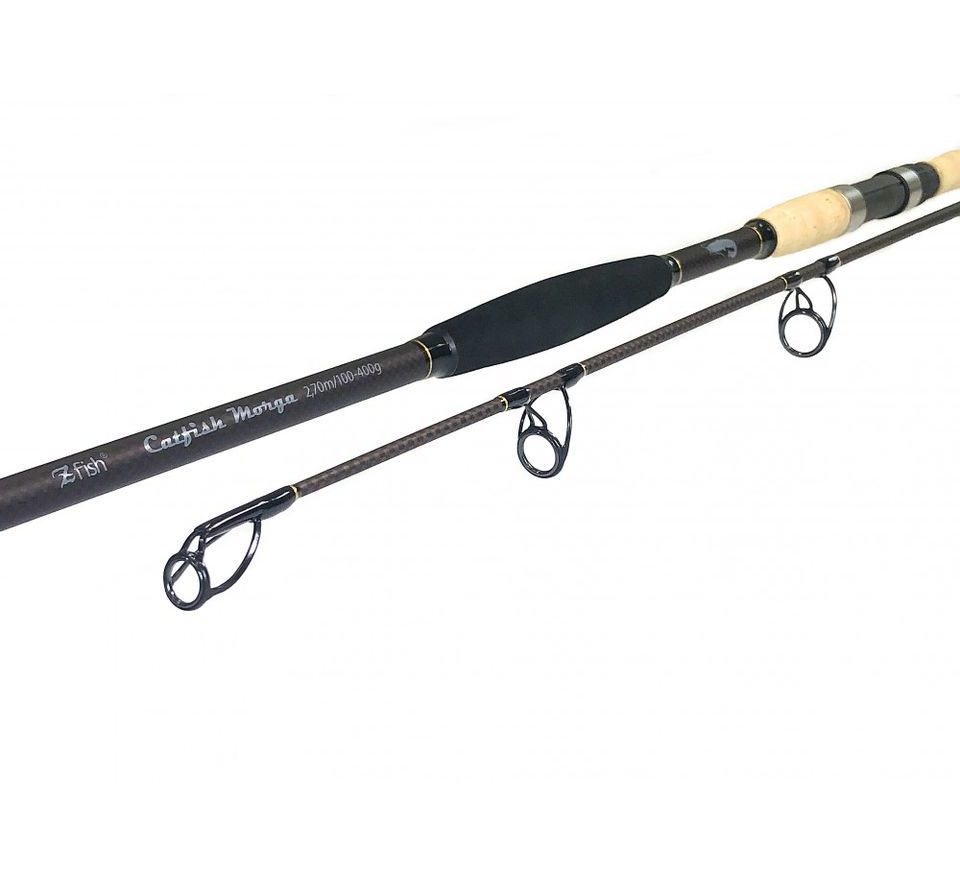 Zfish Prut Catfish Morga 2,70m 100-400g