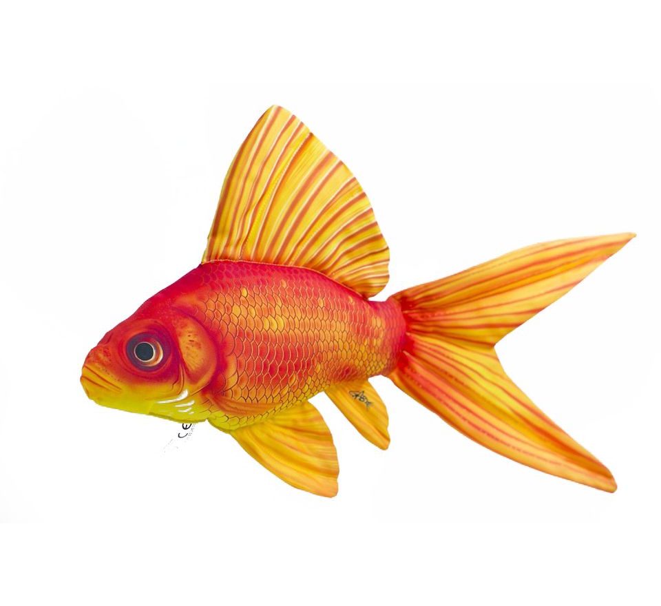 Gaby Polštář Zlatá rybka 60 cm