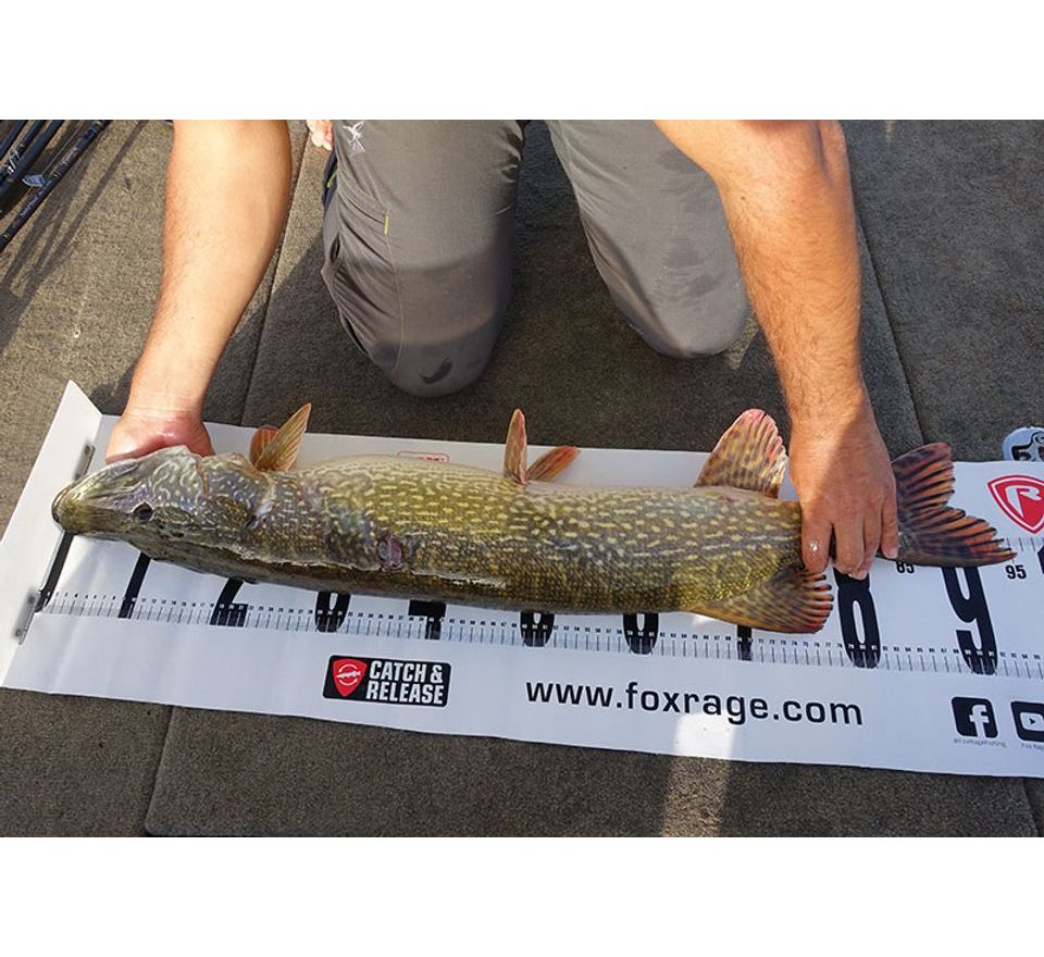Fox Rage Podložka Voyager Fish Measure 140cm
