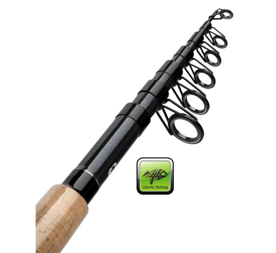 Giants Fishing Prut CLX Tele 2,7m 20-70g