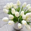 Tulipán pěnový (5 ks) - bílá se zeleným nádechem 30 cm