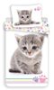 Povlečení fototisk Kitten colour 140x200, 70x90 cm