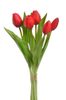 Svazek tulipánů (5 ks) - červená 30 cm