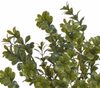 Umělý trs buxus - zelená