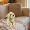 Plyšový pes labrador 23 cm ECO-FRIENDLY SOFT
