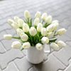 Tulipán pěnový (5 ks) - bílá se zeleným nádechem 30 cm