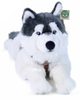 Plyšový husky 60 cm ležící (eco-friendly)