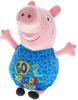 PLYŠ Prasátko Peppa Pig 20cm Happy party 7 druhů *PLYŠOVÉ HRAČKY*