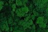 Mech islandský (250 g) - zelená tmavá