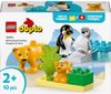 LEGO DUPLO Rodinky divokých zvířat: Tučňáci a lvi 10442 STAVEBNICE